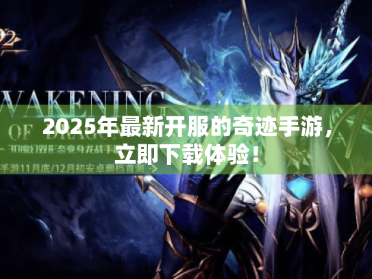 2025年最新开服的奇迹手游，立即下载体验！