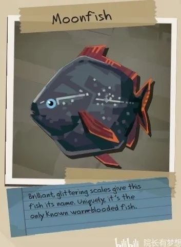 《渔帆暗涌》全鱼类图鉴：揭秘深海珍稀鱼类！