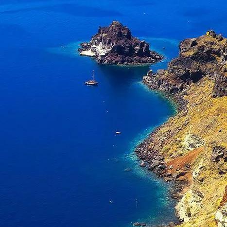 神奇海洋5月4日答案揭晓2025多图