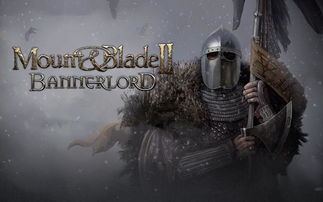 《骑马与砍杀2》Steam版超值优惠，揭秘性价比之选！