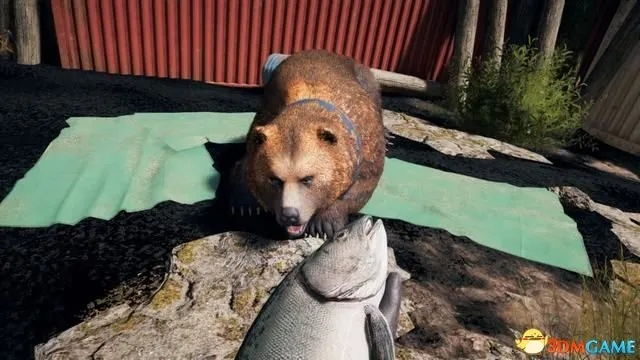 《孤岛惊魂5》搞笑集锦:熊出没抢镜,狗狗摸鱼神操作 《孤岛惊魂5》搞笑集锦:熊出没抢镜,狗狗摸鱼神操作