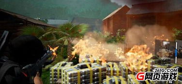 《快反部队》湄公河大案改编，绿光平台独家首发！