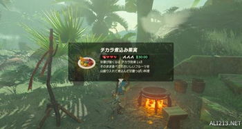 《荒野煌雷龙攻略：高效打法与珍稀掉落解析》