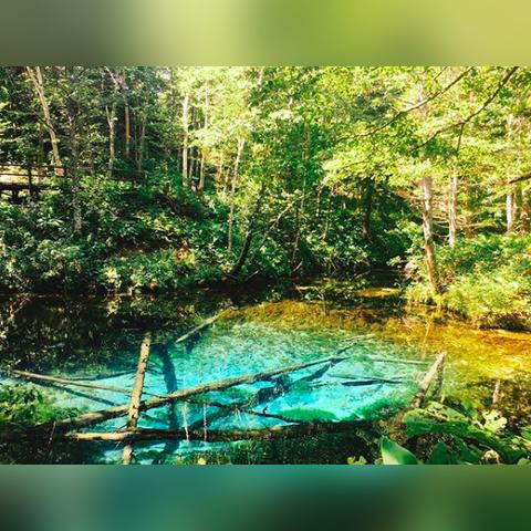 《杀手2》北海道雪地追击:冬季猎杀秘境挑战 《杀手2》北海道雪地追击:冬季猎杀秘境挑战