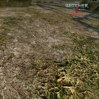 《巫师3》首张截图惊艳亮相!独家揭秘! 《巫师3》首张截图惊艳亮相!独家揭秘!