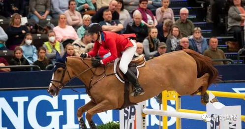 羊蹄山豪华版马匹获取攻略：独家秘籍助你轻松驾驭神驹