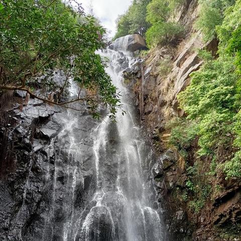 亚洲最大跨国瀑布缩水严重 景区面临枯水期挑战