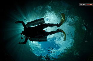 《戴夫潜水探秘：揭秘水下奇遇》