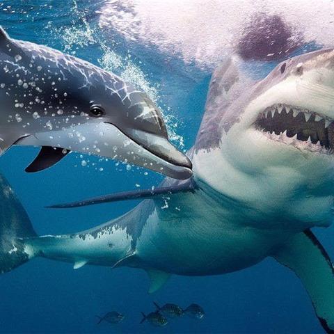 《掠食全怪物图鉴：揭秘敌人弱点与应对策略》