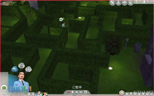 《模拟人生4》城堡迷宫探险攻略：维勒村庄欢聚新玩法揭秘