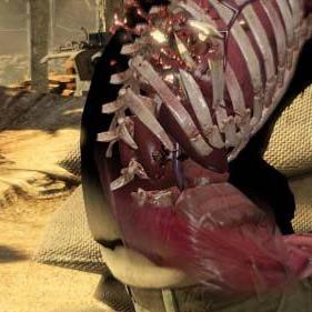 《狙击精英3联机攻略：新手必看高胜率技巧》