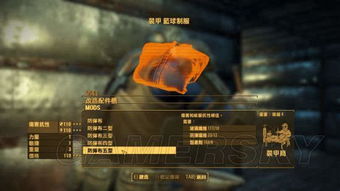 《辐射4》全服装图鉴：套装收集攻略一览