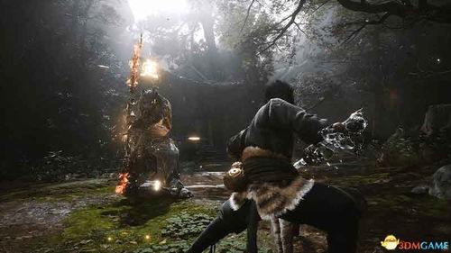 《黯翼囚歌骑士》求生攻略：揭秘生存技巧，掌握游戏制胜之道