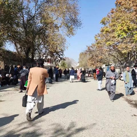 《辐射：避难所Online》电音狂欢！原子猫限时返场，抢购双十一礼包特惠！