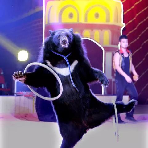 《命运方舟》小丑BOSS通关秘籍：疯狂军团长副本攻略全解析