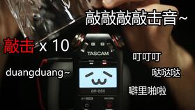 《绝区零》爱丽丝音擎推荐：解锁最强音效配置