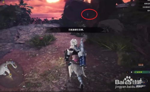 《荒野猎人》虹光独角仙快速刷法攻略！