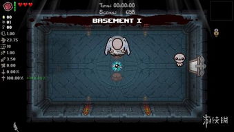 《以撒结合胎衣》道具详解：获取方法+作用一览攻略