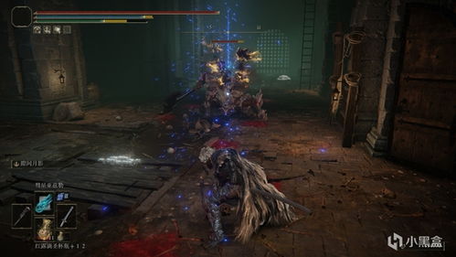 《艾尔登法环》揭秘：耐久度机制变迁，探索新装备奥秘