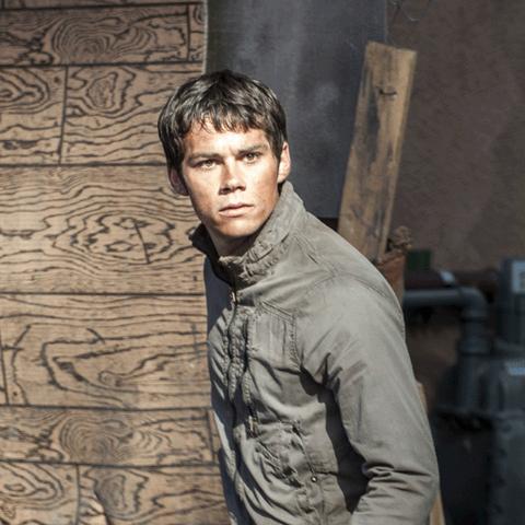 《废墟土豆花绽放》迷宫探险新体验，揭秘发售惊喜！