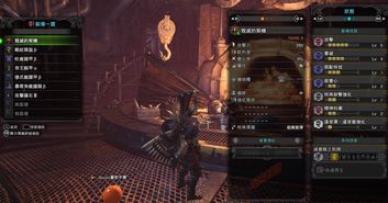 曙光DLC轻弩新巅峰，天迴贯3超心3秘配攻略