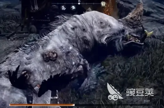 艾尔登法环黑夜君临三头犬攻略：高效打法技巧揭秘