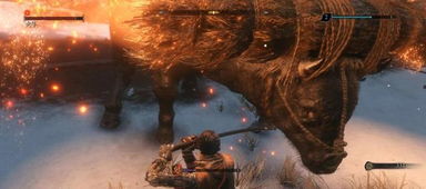 碧珍妮特技能解析：群狼之城中的狩猎女王新攻略