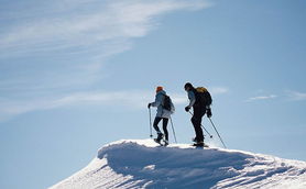 阿尔芭探险：冬日秘境新篇