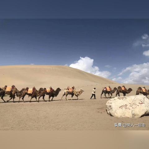 织梦岛新秘境，探索奇遇解锁传奇