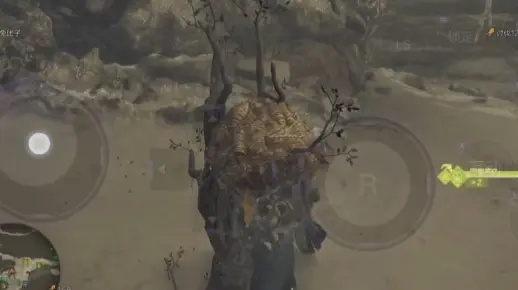 血盗虫藏身荒野秘境，探秘猎物掉落宝藏攻略