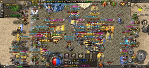 《荒野金冠速刷秘籍：高效攻略大揭秘》