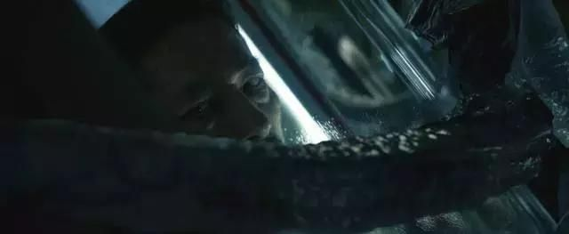 生死轮回，每30分钟惊险再临，逃亡新篇章！