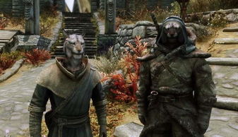 《上古卷轴5》Mod开发者遭遇生死危机，揭秘人性阴暗面