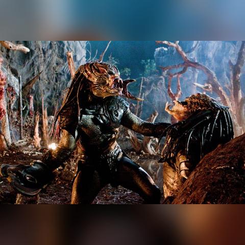 铁血猎场：揭秘新游《铁血战士：猎场》惊心动魄的多人对决