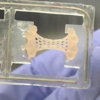 《孤岛惊魂：新曙光》首日补丁大升级，海量BUG修复，游戏体验再飞跃