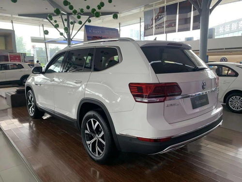 《流浪汉生活体验大升级，19年3月全新模拟启航》