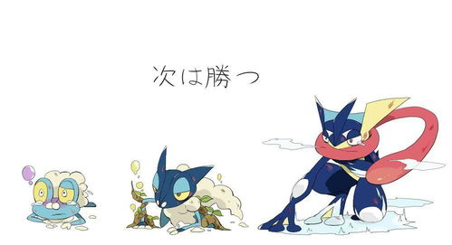 梦宝可逆寻新篇