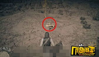 《荒野大镖客2》恐龙骨全收集攻略：一网打尽位置解析秘籍