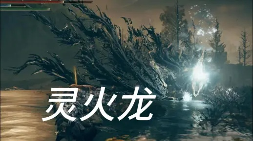 艾尔登法环DLC灵火龙攻略：高效打法解析，掌握全新战斗技巧