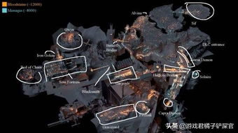 大沼泽探险揭秘：潜行者2新地图深度解析