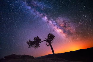 《星空之地》十年磨一剑，B社力作新篇章，探索未知价值无限