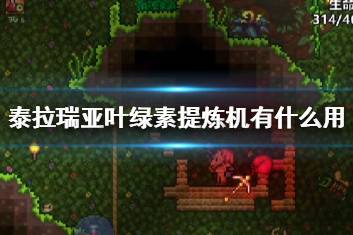 《泰拉瑞亚》重生：探索来世新纪元