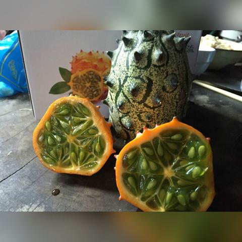 绝地求生新地图沙漠版5月XB1独享,探索未知极限! 绝地求生新地图沙漠版5月XB1独享,探索未知极限!