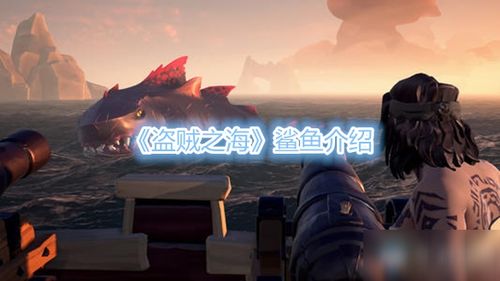 《贼海》真人预告首发，海上冒险之旅启航，探索未知新篇章