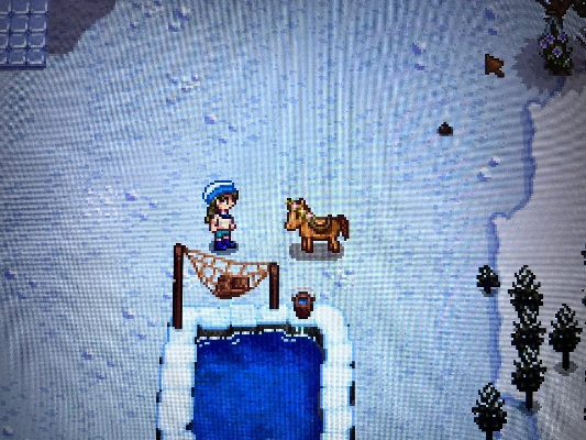 《星露谷物语》多人畅玩新升级，马儿戴帽乐趣多