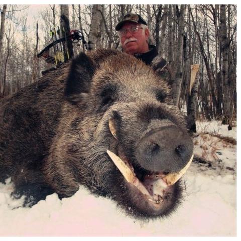 《怪物猎人：世界》限时第六弹奖金揭晓，新活动价值升级！