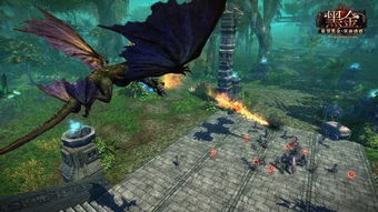 螃蟹龙虾巅峰对决,揭秘新格斗之王诞生记 螃蟹龙虾巅峰对决,揭秘新格斗之王诞生记