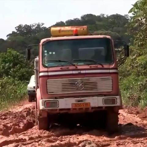 唯美画风《森林之路》2019年发售，探寻自然新境界