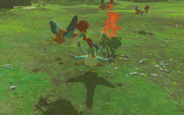 荒野奇遇:咕咕鸡邪道秘术,解锁新境界! 荒野奇遇:咕咕鸡邪道秘术,解锁新境界!