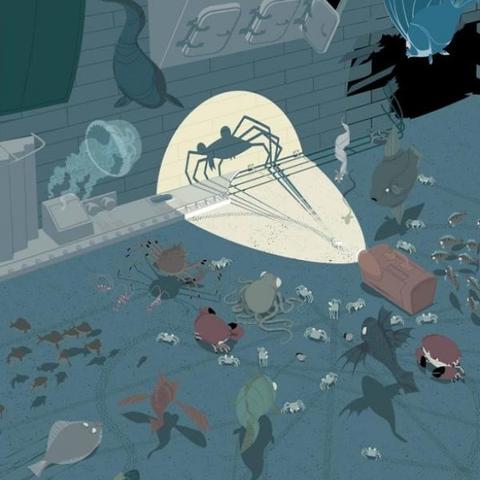 《暗喻幻想》物理队搭配攻略：深度解析战斗策略与战术革新